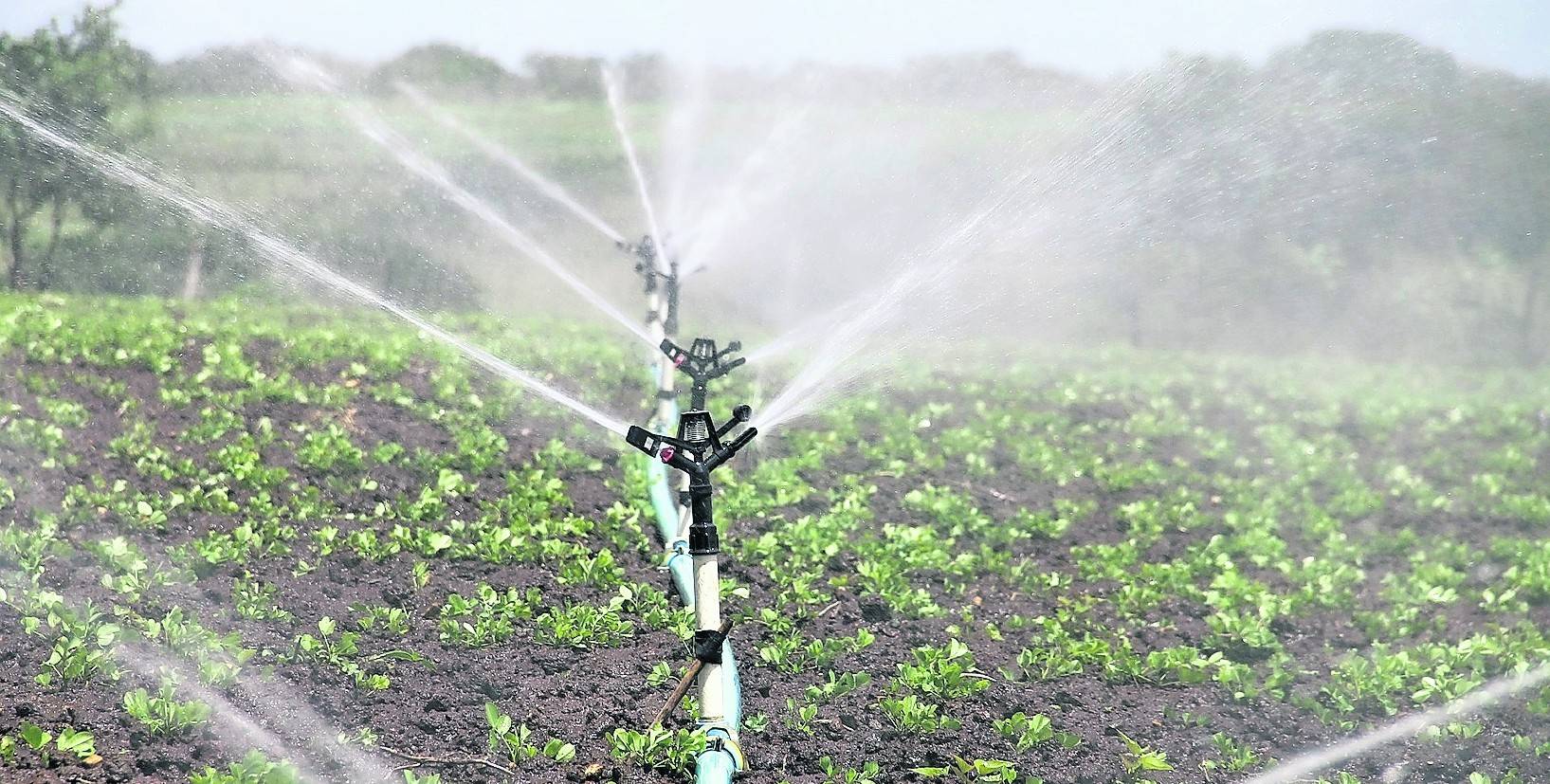  Auch in unseren Breitengraden sind Landwirte inzwischen immer häufiger gezwungen, ihre Felder zu beregnen.  