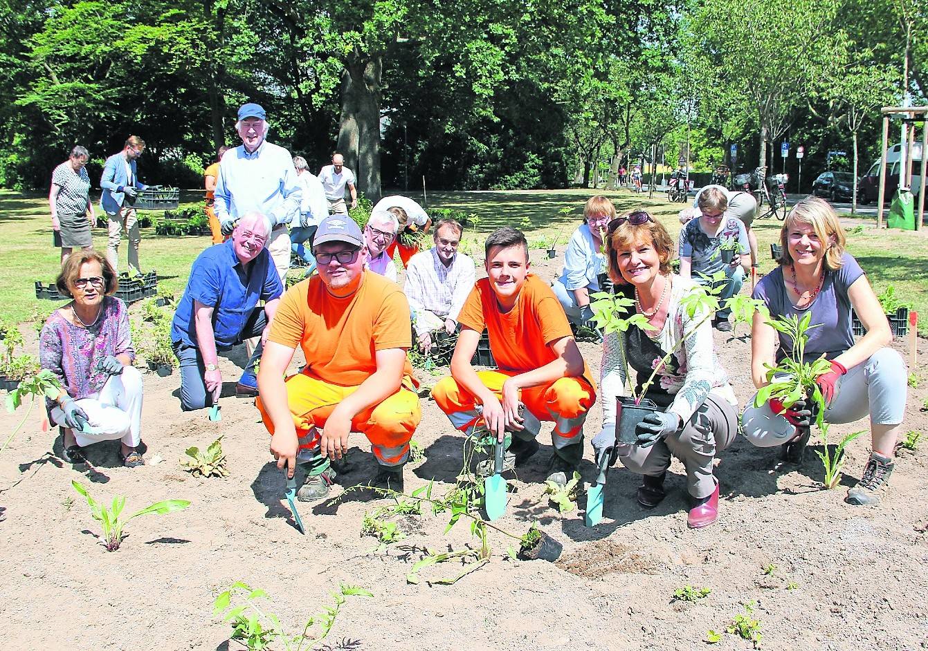 Die Moschusmalve nehmen Fabian Schneider und Lars Christmann genauer unter die Lupe. Gemeinsam mit Anna Hardenberg, Landschaftsarchitektin bei der Stadt Meerbusch, haben die Azubis des städtischen Servicebereichs „Grünflächen“ im vergangenen Jahr das Wildstaudenbeet im Meerbadpark angelegt.