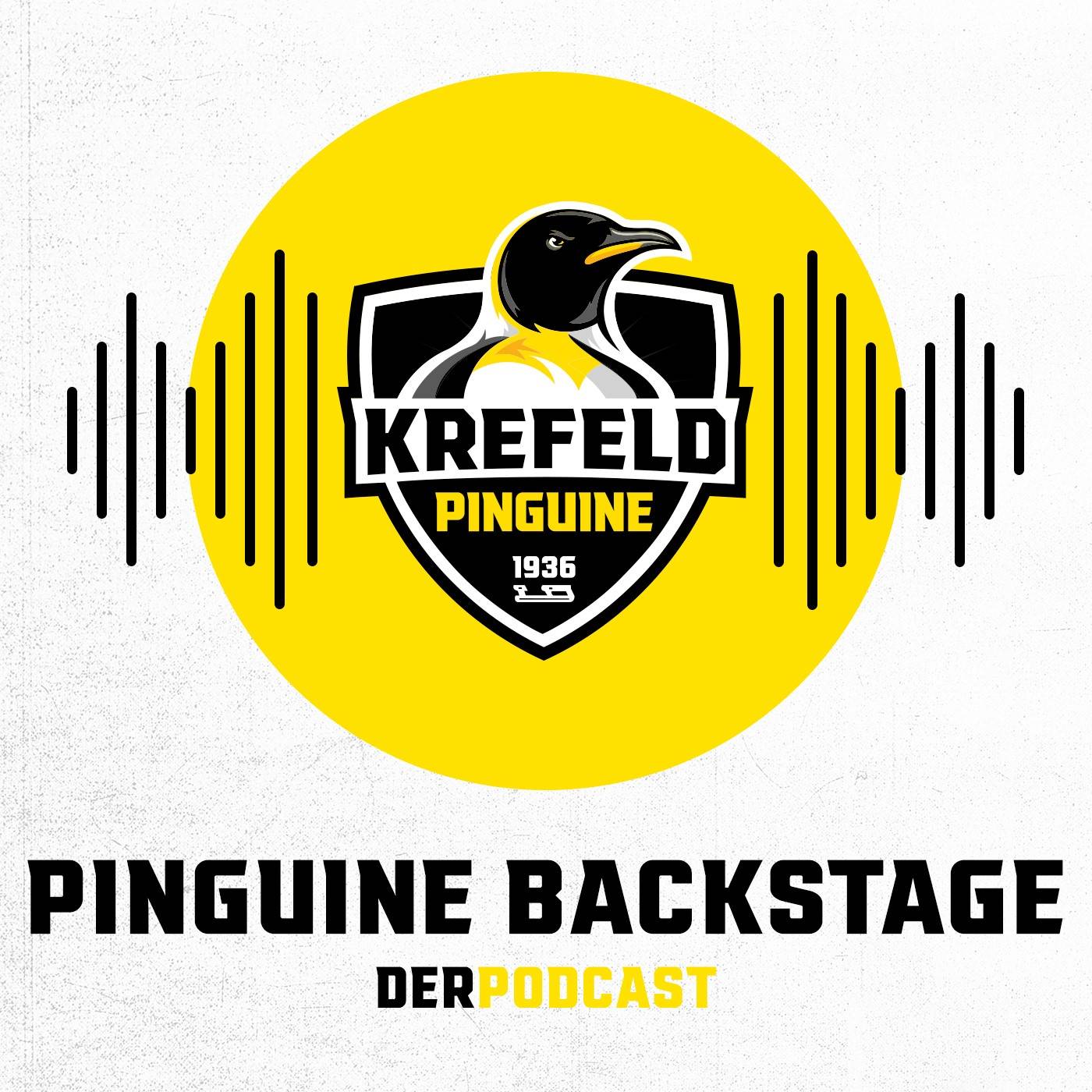 Am Donnerstag um 18 Uhr: Podcast-Premiere der Pinguine