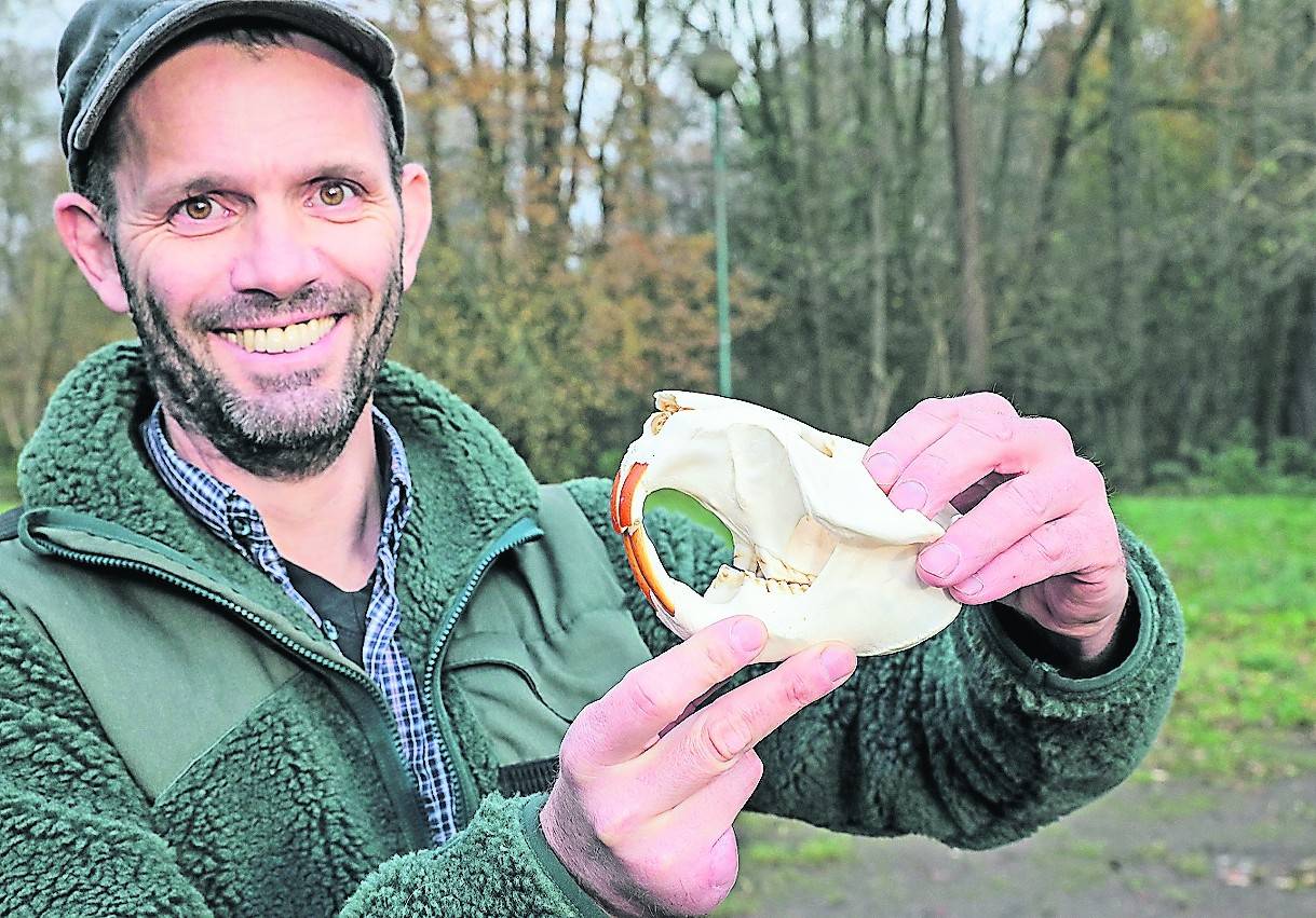 Markus Heines geht am 11. August auf die Spur des Bibers und erzählt allerlei Wissenswertes. <![CDATA[]]>