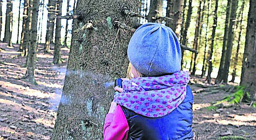 Kinder ab vier können mit dem Kinder- und Jugendsportverein auf Entdeckungsreise gehen.