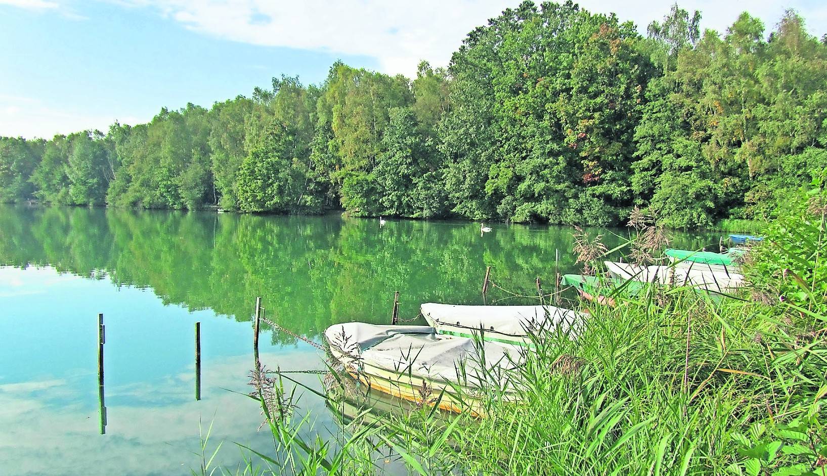 Auch am Venekotensee ist das Bad im kühlen erfrischenden Nass verboten. Fotomontage: Claudia Ohmer, Foter.com/opposition 24