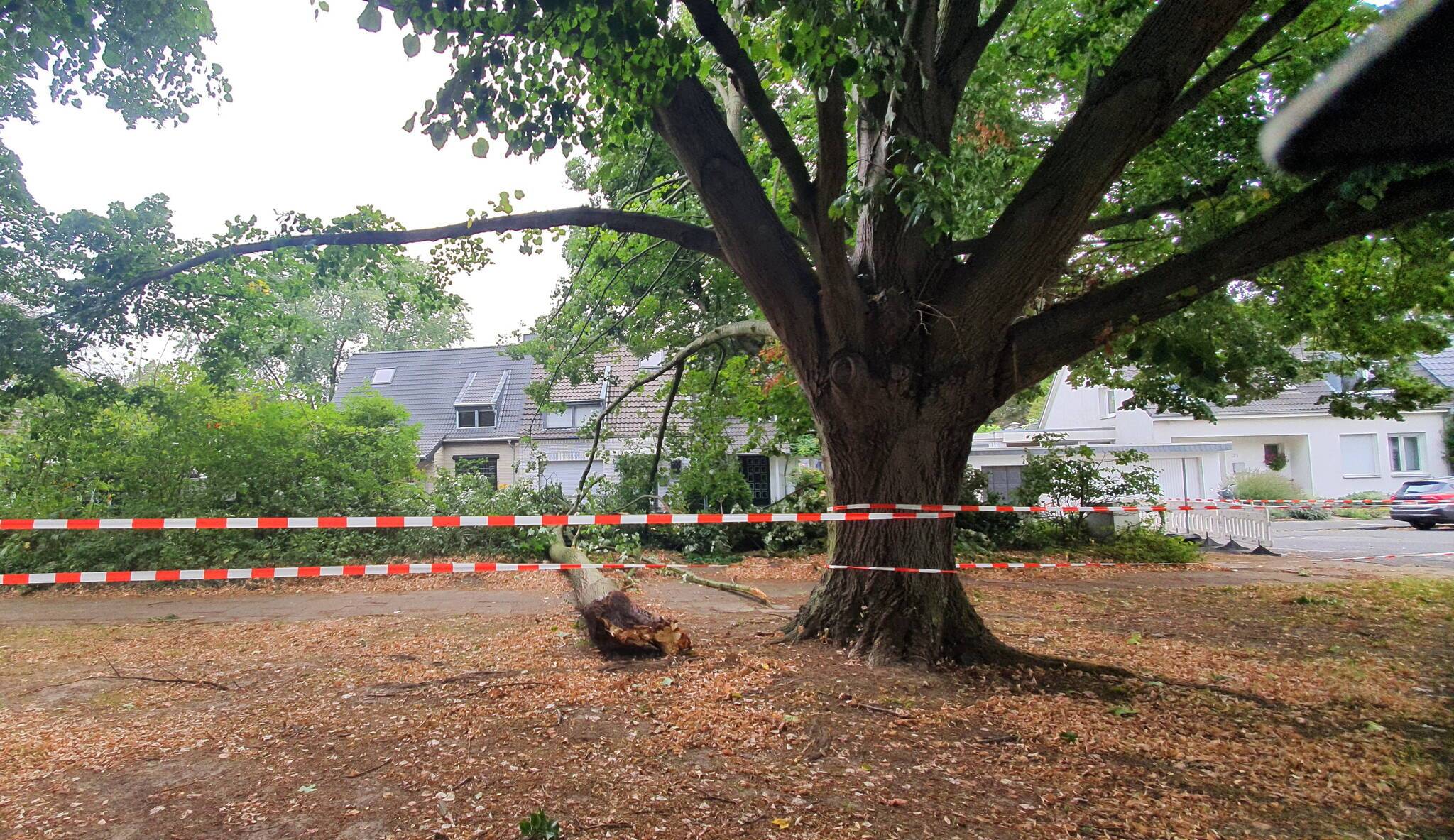Sturmtief Kirsten: Starker Wind, umgeknickte Bäume