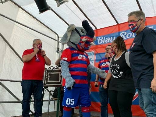 Überraschung für den Grotifant