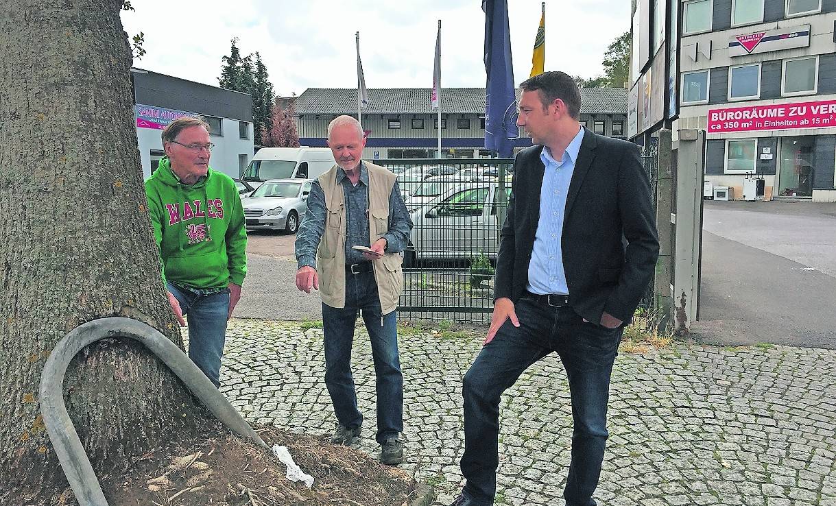  Roman Zimprich (Mitte) zeigt Hajo Siemes und Jan Biehl seinen „Überlebenskünstler“, wie er die rund 25 Jahre alte Eiche auf der Künkelstraße nennt, die den widrigen Umständen trotzt. 