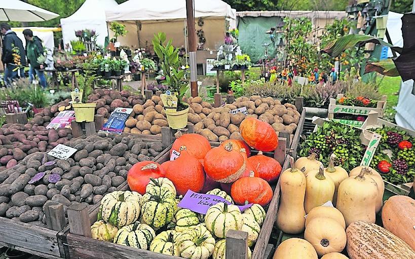 Rund 130 Aussteller präsentieren beim Herbstfestival Schloss Rheydt ein abwechslungsreiches herbstliches Angebot.