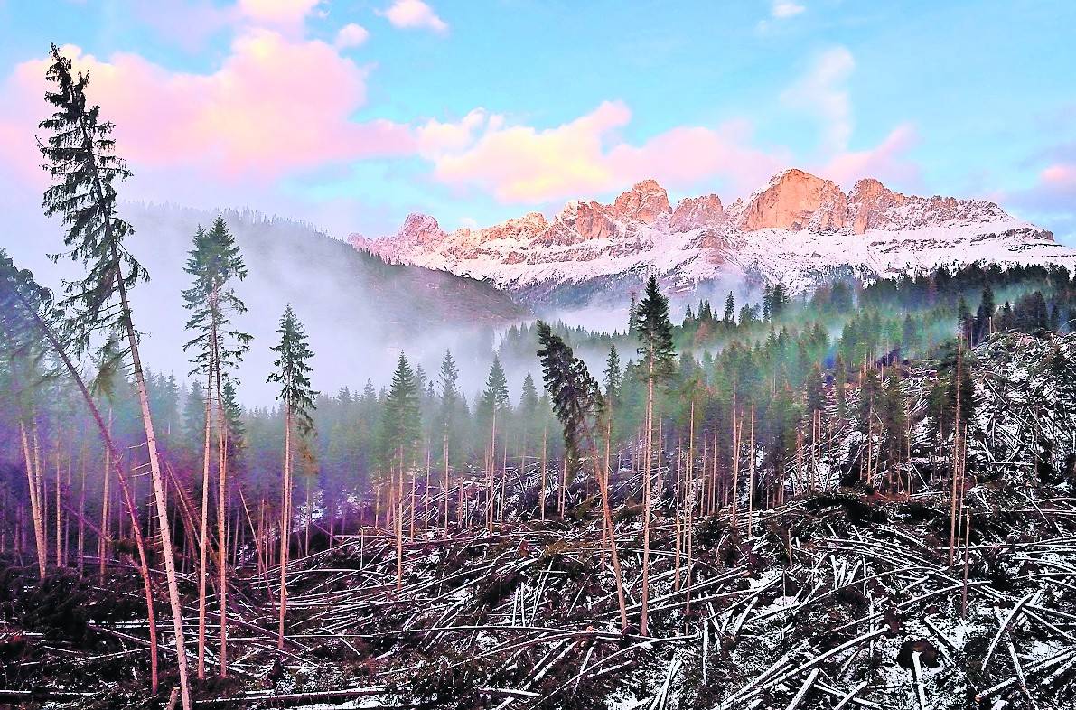  Die Fotoausstellung ist bis zum 21. Februar im Schloss Dyck zu sehen. Das Siegerfoto stammt von Albert Coelan. 