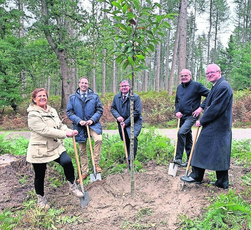 Kämmerin Marie-Luise Schrievers, Geschäftsleiter FriedWald GmbH Matthias Laufer, Bürgermeister Kalle Wassong, Pfarrer Alexander Schweikert und Pastor Wolfram Weihrauch (v.l.) legten bei der „Gestaltung“ des Niederkrüchtener FriedWaldes selbst Hand an.