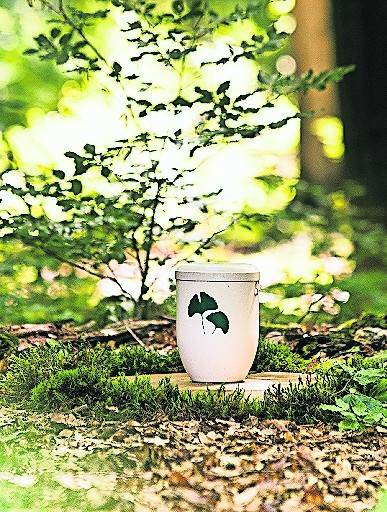 Die im Fried Wald verwendeten Urnen oder Aschekapseln sind biologisch abbaubar.