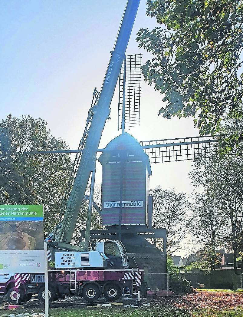 Montage der Hecken an die Flügel.