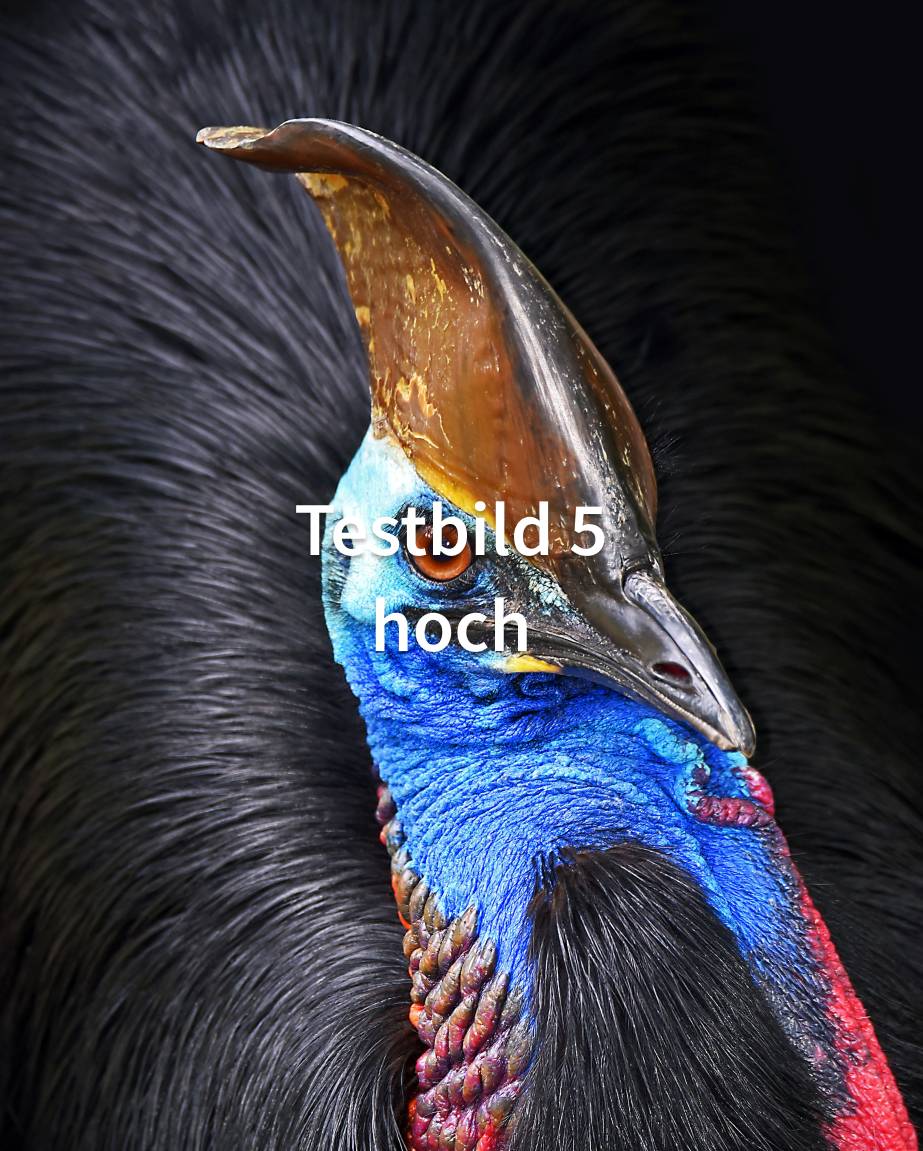 Hier sind spannende Bilder zu sehen