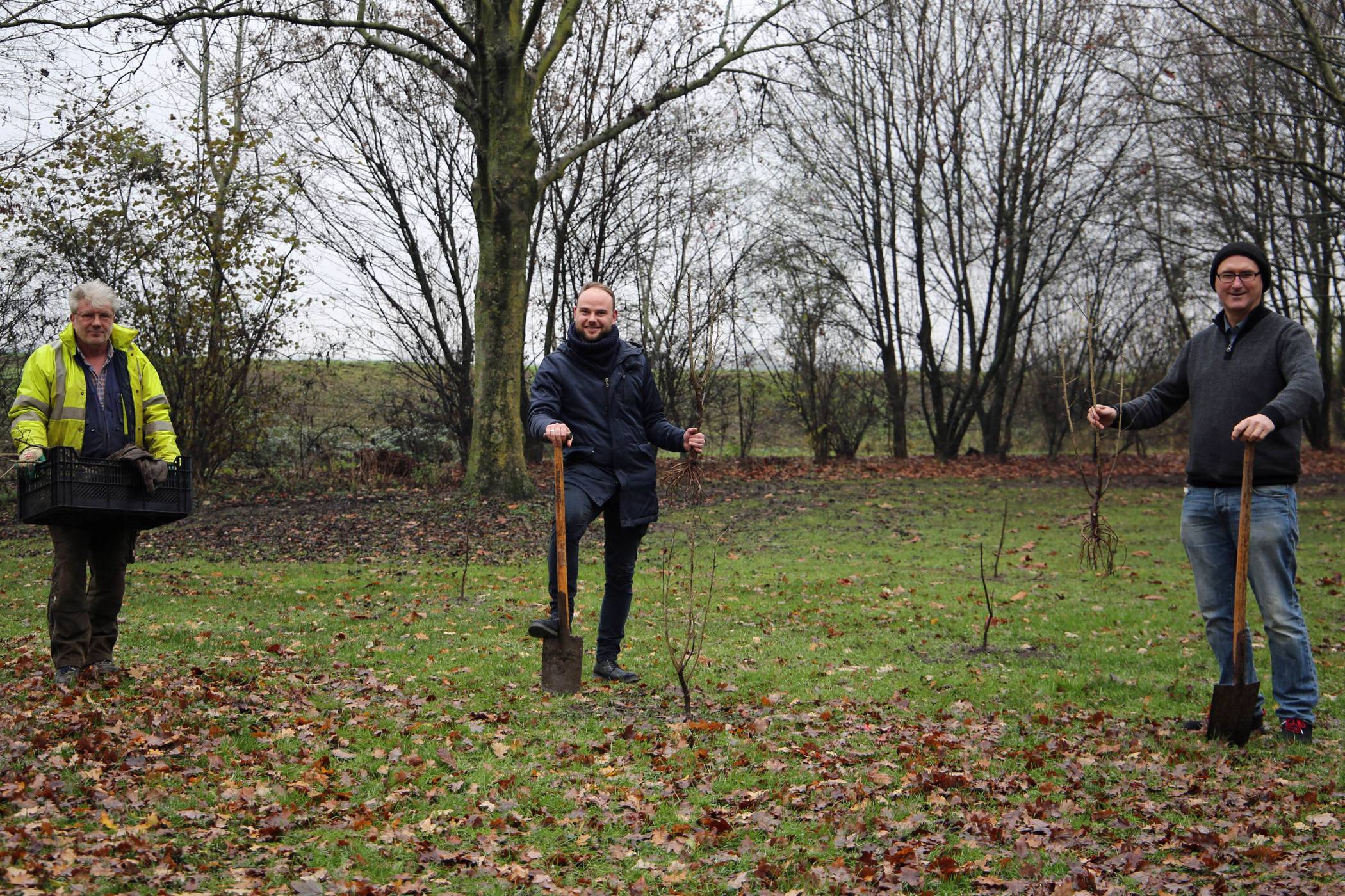 Lutz Niebaum, Giovanni Rumolo und Klaus Pelzer (v.l.) pflanzen die ersten Bäume für den KliMo-Wald an der Kreuzung Willy-Brandt-Allee/Lintforter Straße.