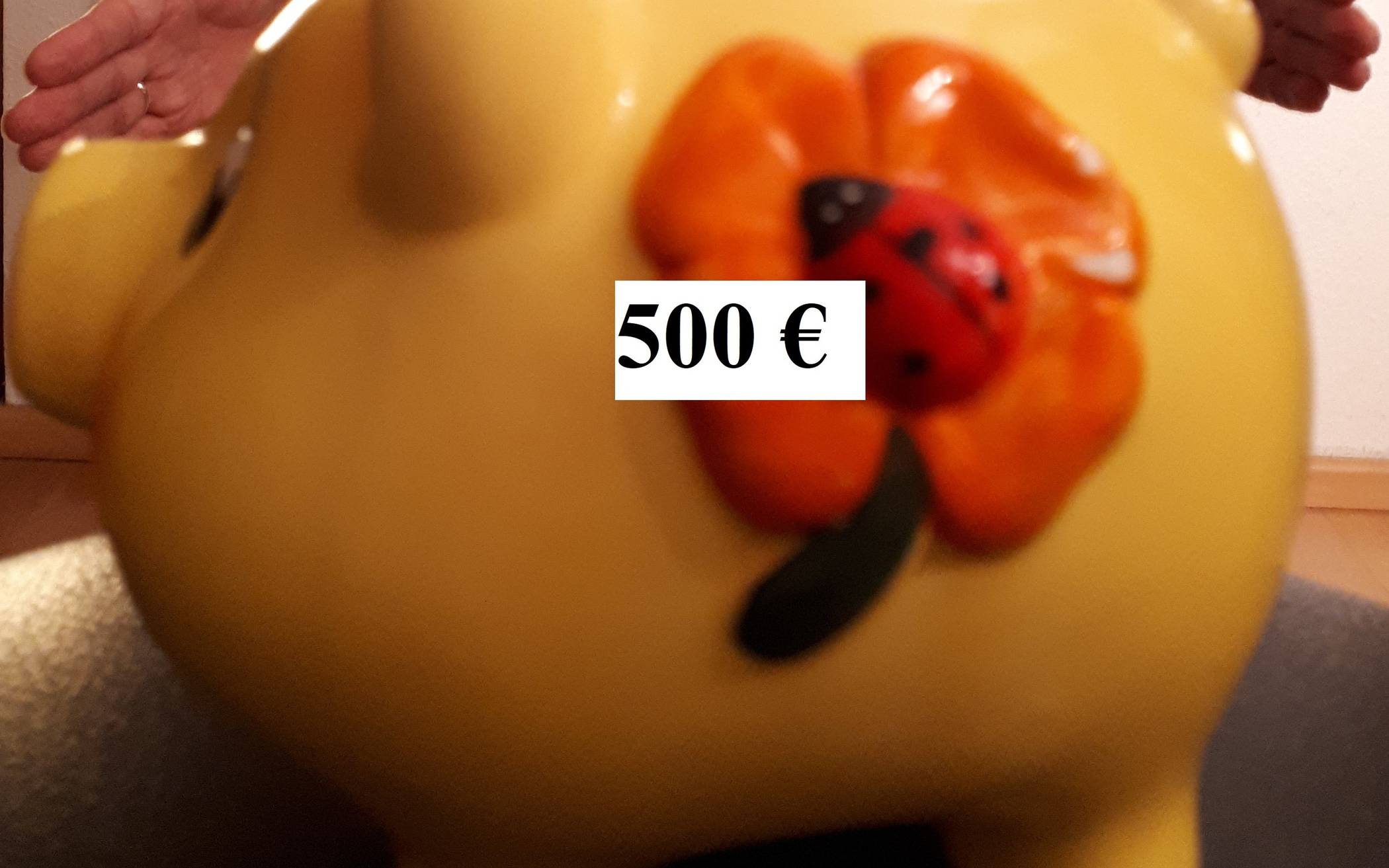  Roger Hannig vom KKC mit dem mit 500 Euro gefütterten Spendenschweinchen. 