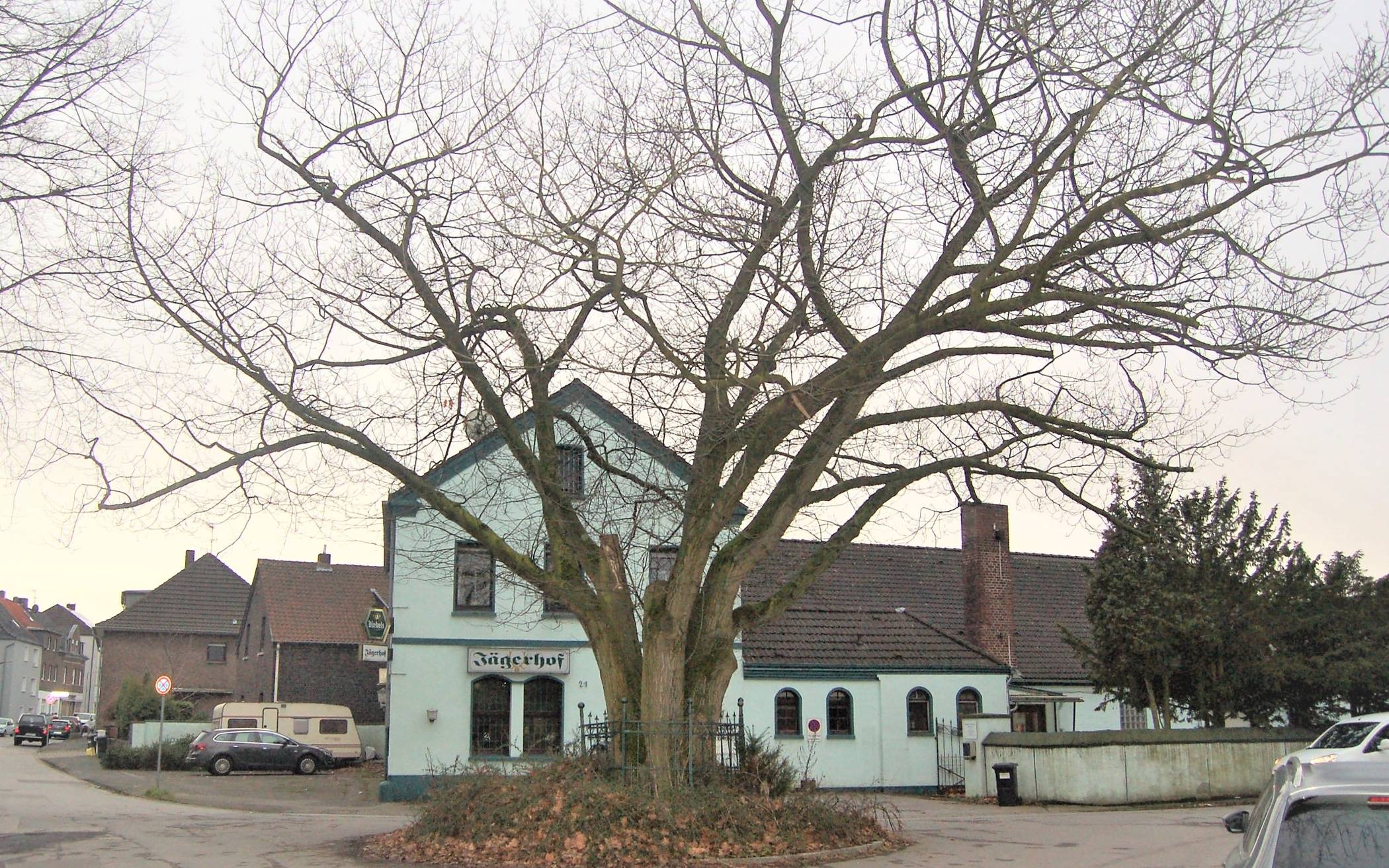 Friedenseiche und Jägerhof Alt-Oestrum.