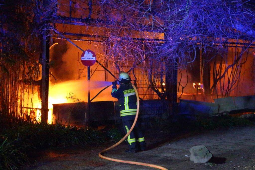 Brandkatastrophe: In der Silvesternach 2020 wurde