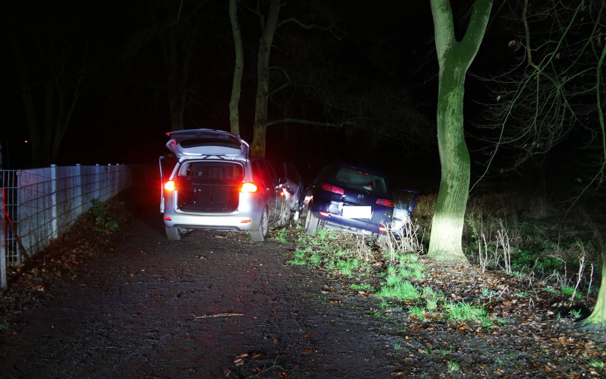 Zwei Männer fahren Polizistin an