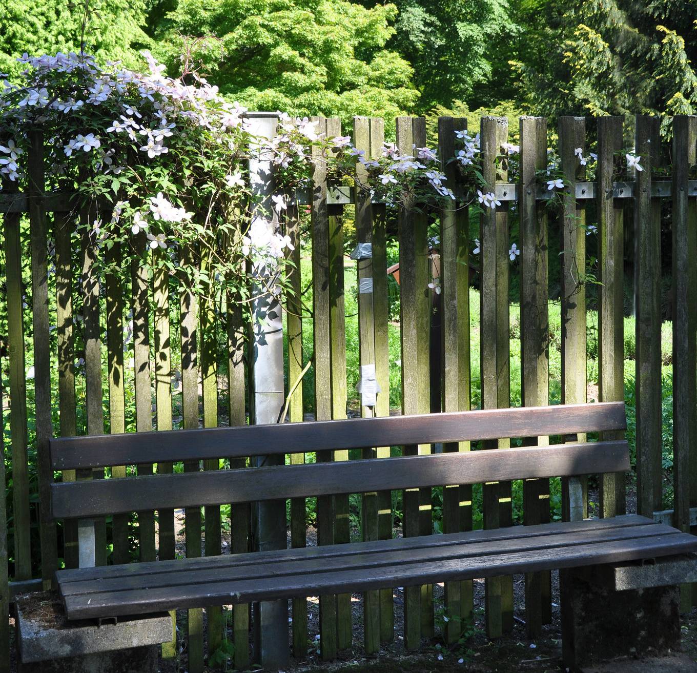 Auch ein Stück Heimat: das Plätzchen im Bunten Garten. 