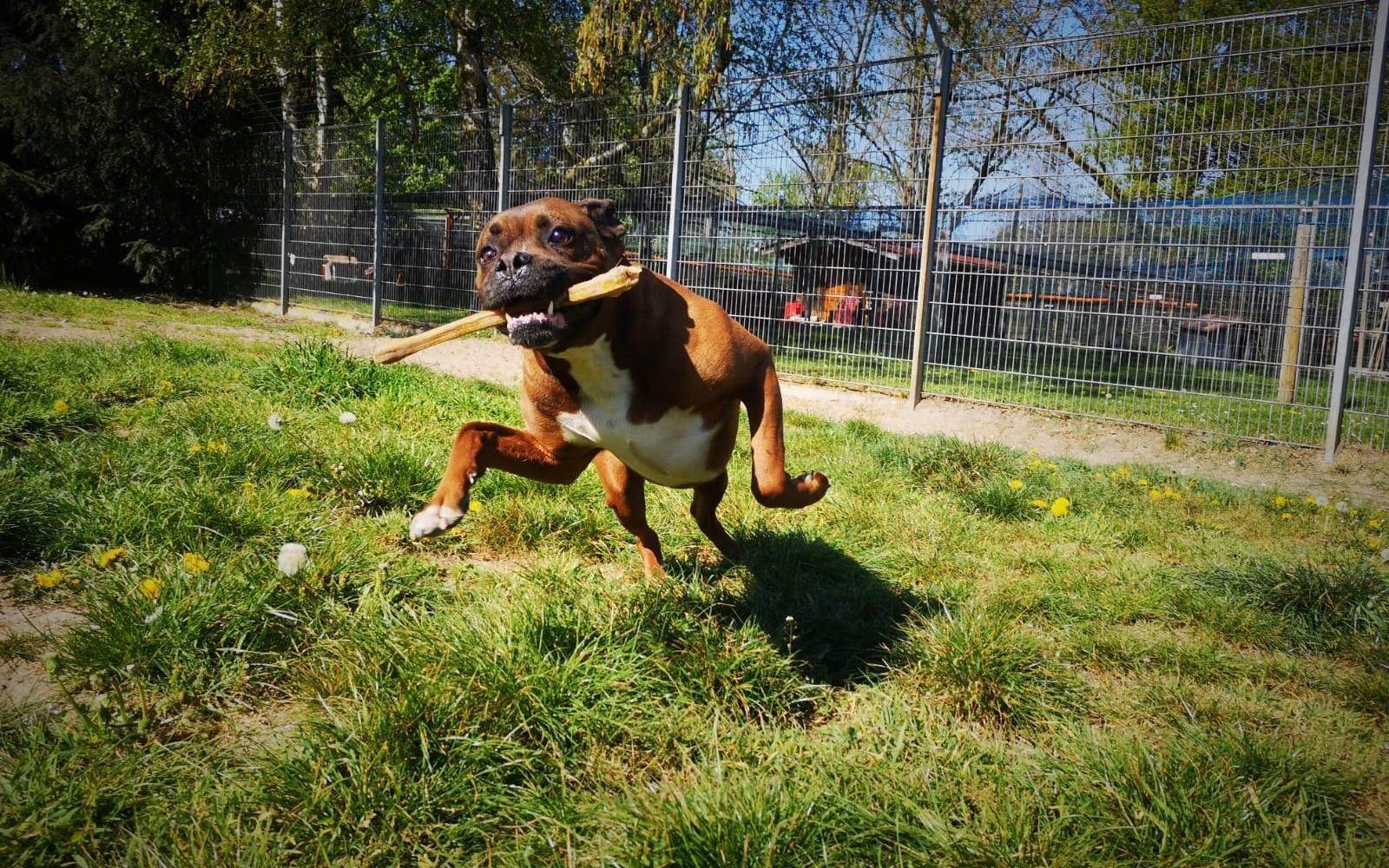 Einfach nur glücklich: Hannes fand ein