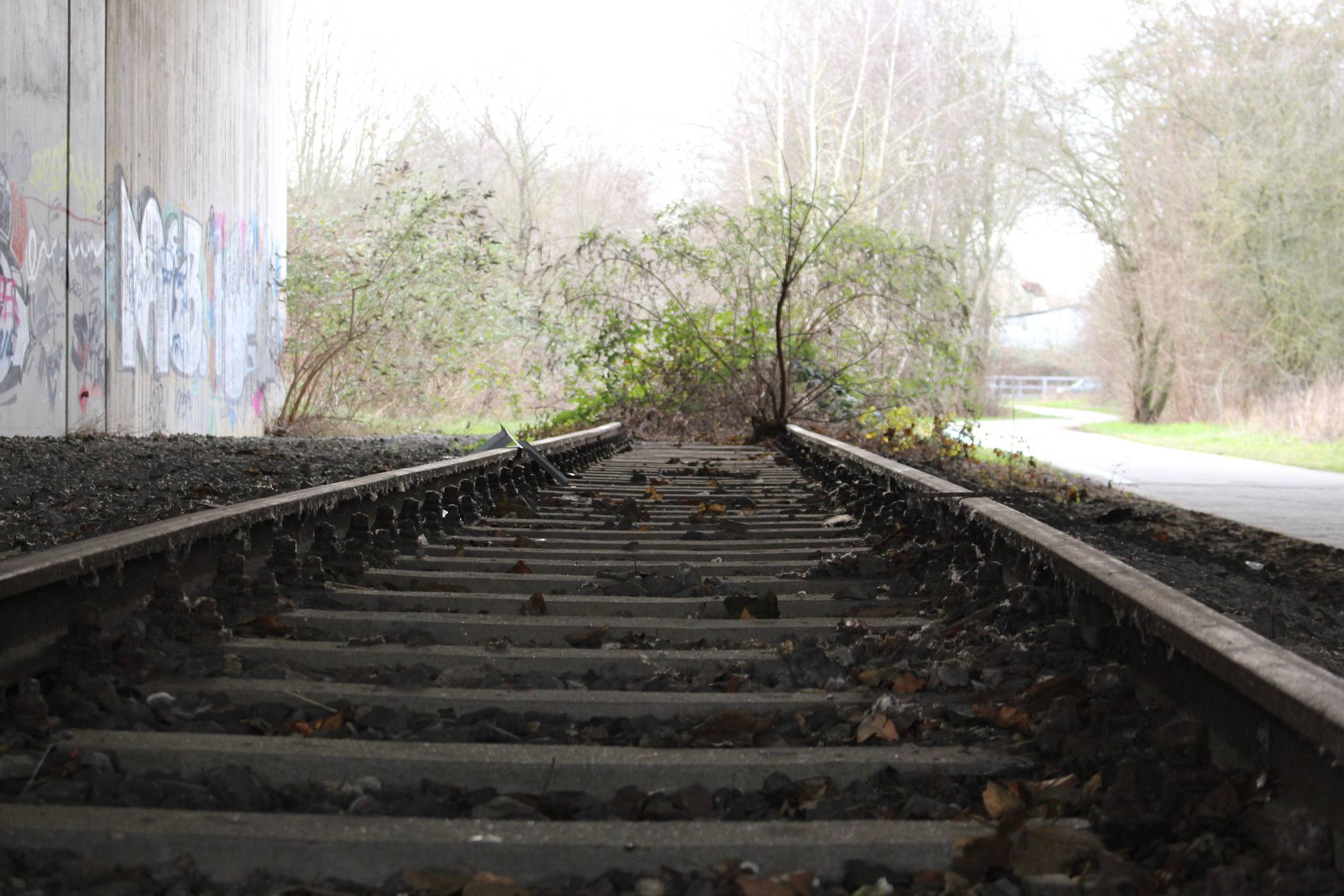  S28 versus Radschnellweg 