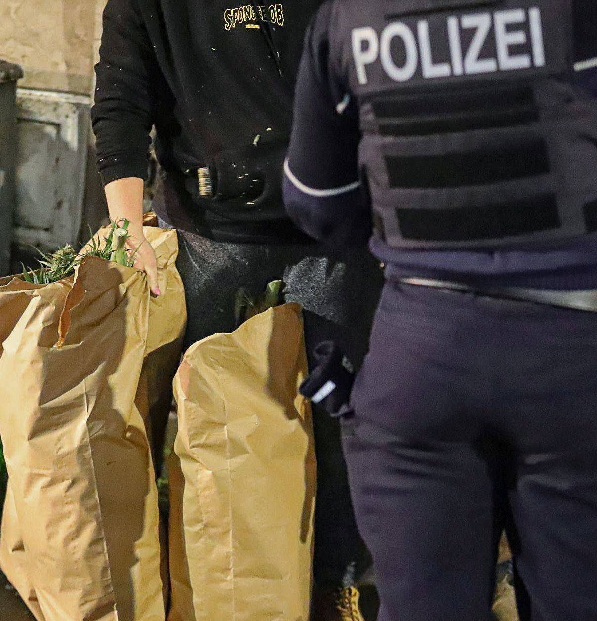 34-Jähriger konnte nicht zum Drogenkauf in die Niederlande : Selbstversorger: Cannabisbepflanzung im Abstellraum 