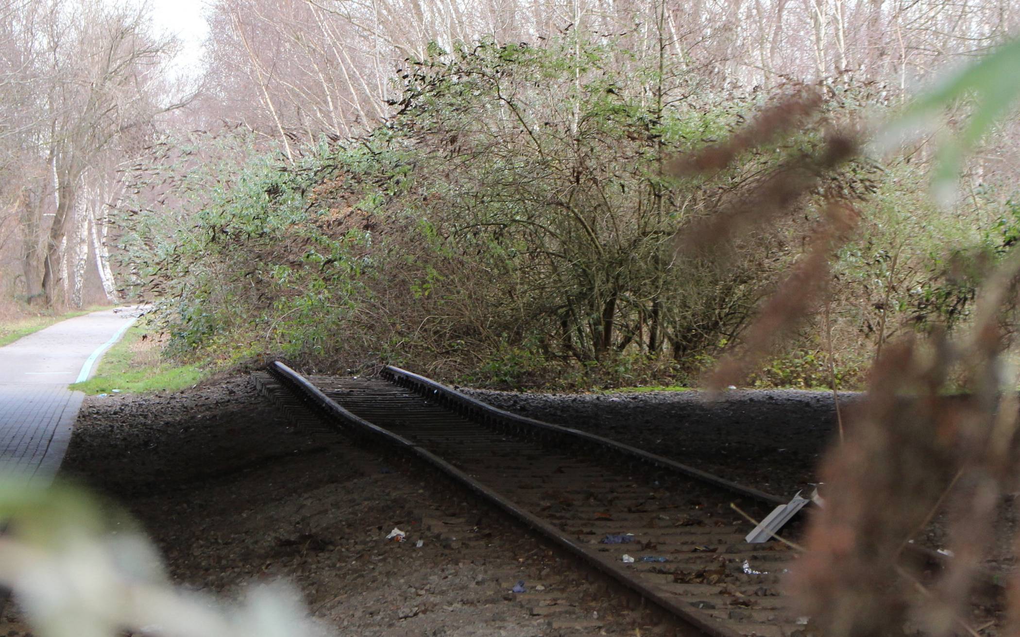 Mönchengladbach suche in Sachen S28-Ausbau in