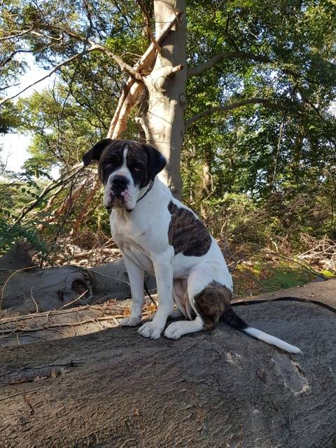 benötigt deutliche Unterstützung.