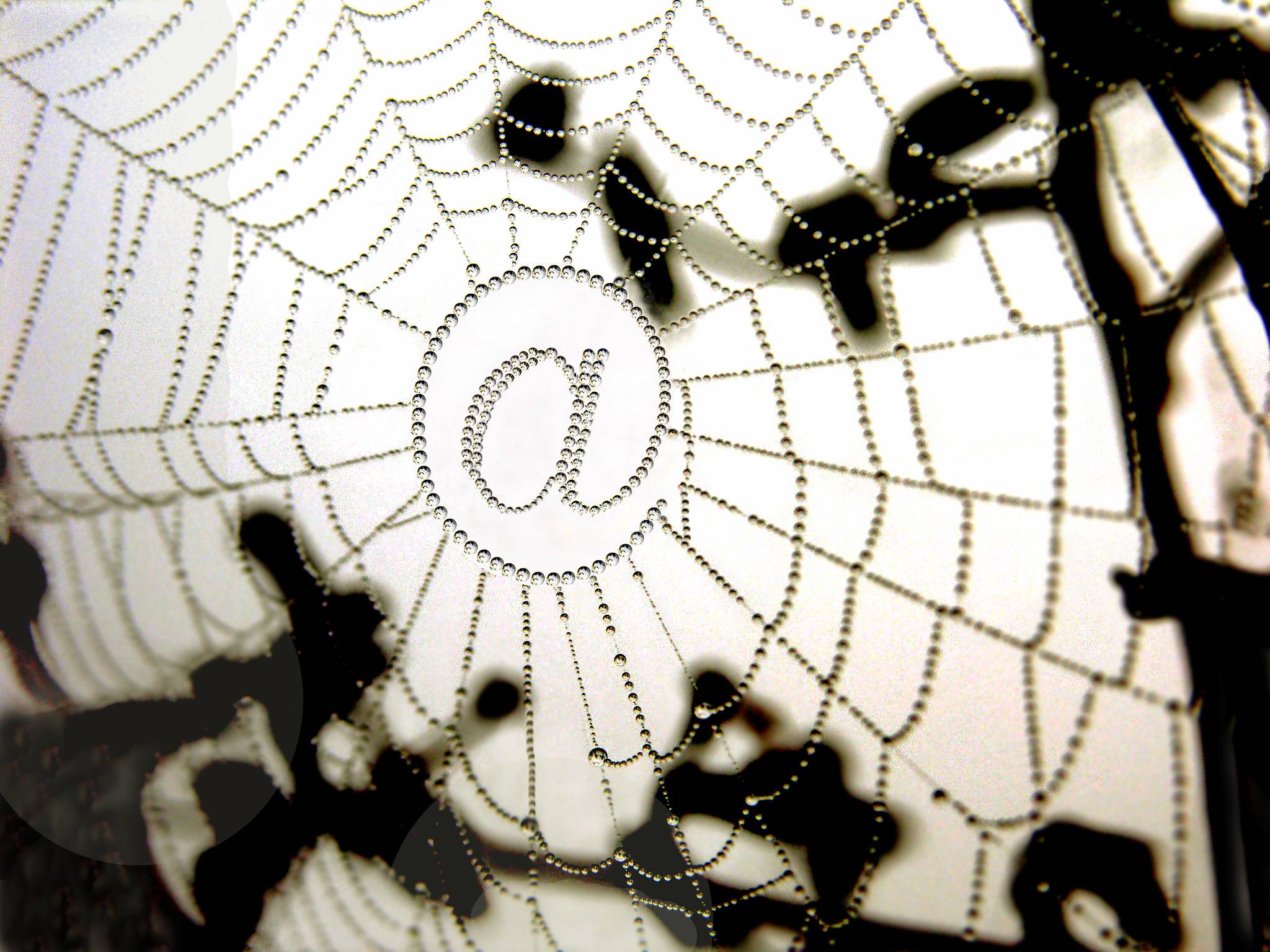 Das Internet bringt den Menschen viel Nutzen, birgt aber auch Gefahren. Aufmerksamkeit ist geboten. Foto: pepsprog/pixelio.de