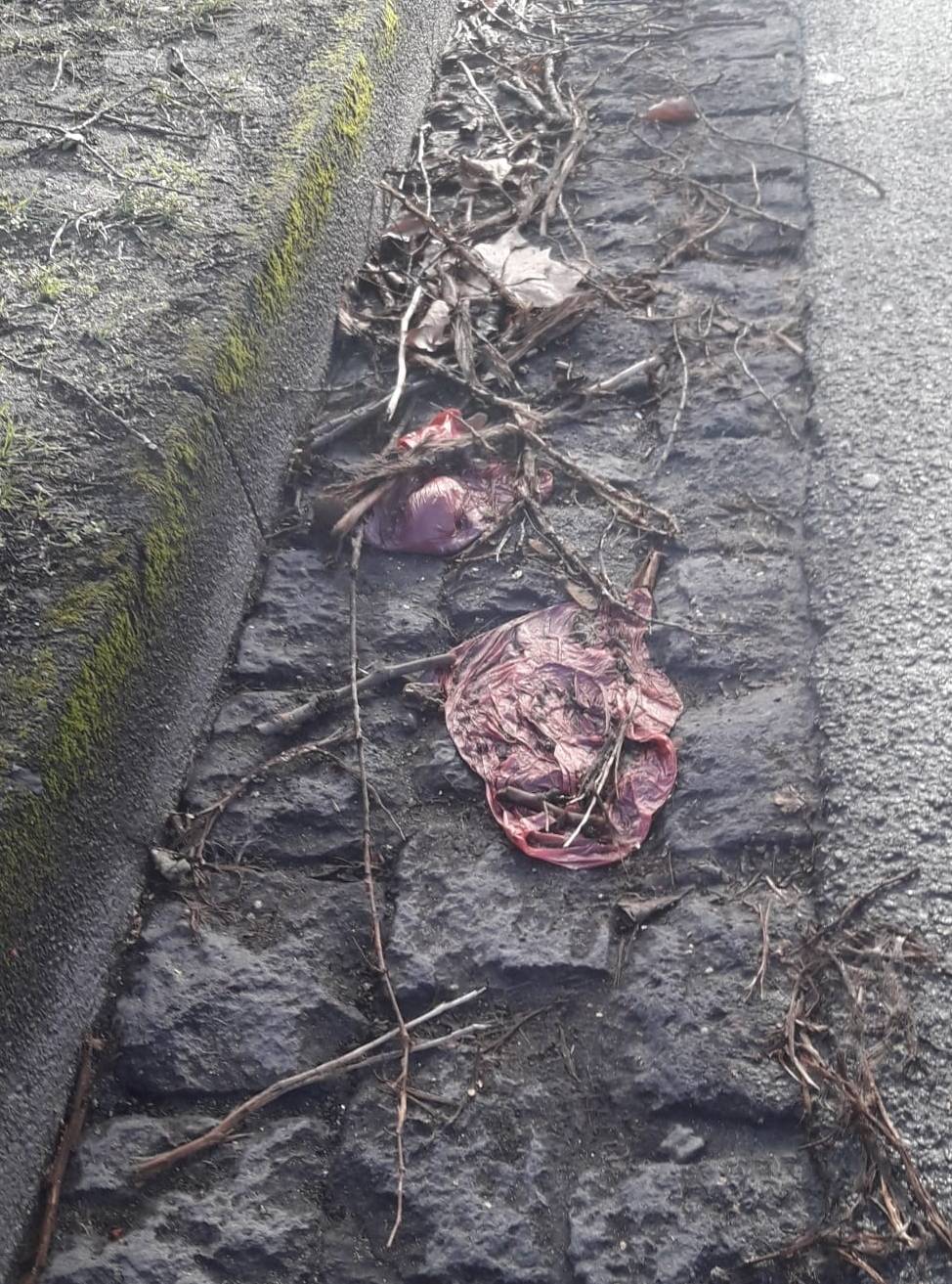 Nein, hier gehören die Kotbeutel auch nicht hin.