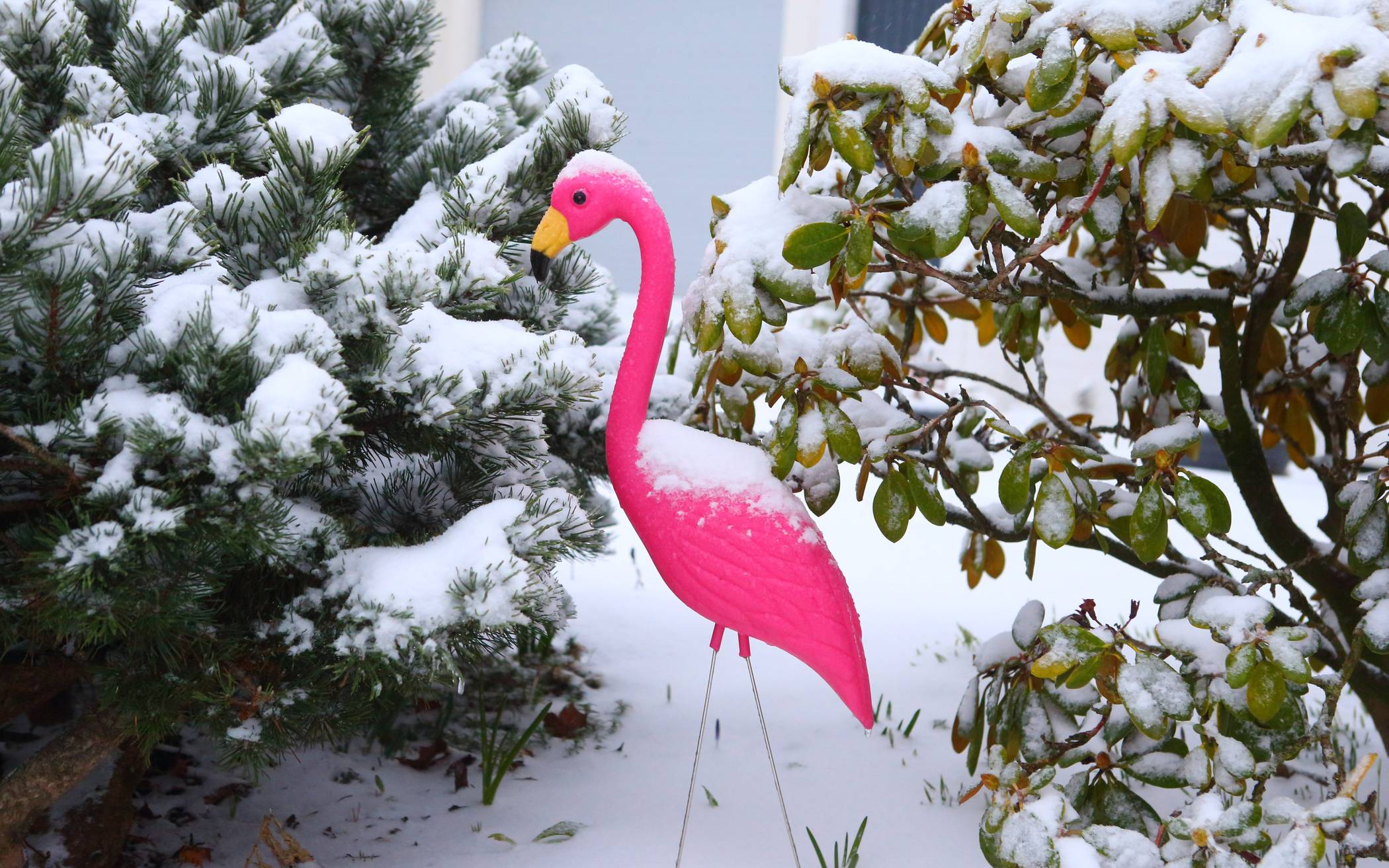 Krefelder Schneelandschaft